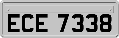 ECE7338