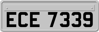 ECE7339
