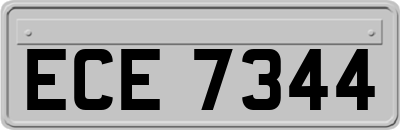 ECE7344