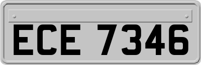 ECE7346