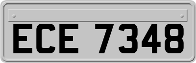 ECE7348