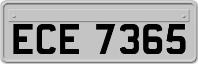 ECE7365