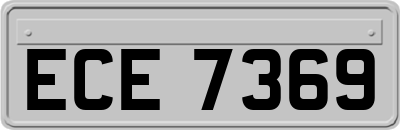ECE7369