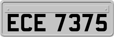 ECE7375