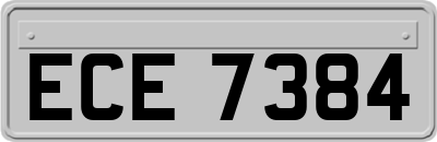 ECE7384