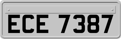 ECE7387