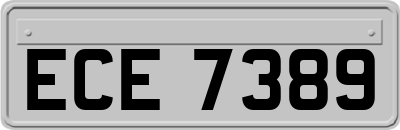 ECE7389