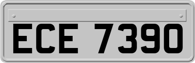 ECE7390