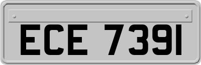 ECE7391