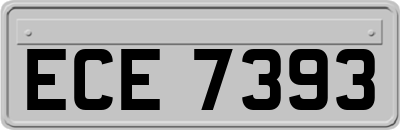 ECE7393