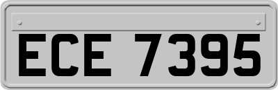 ECE7395