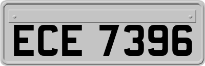 ECE7396
