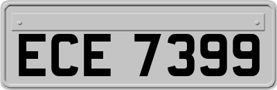 ECE7399
