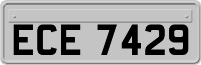 ECE7429
