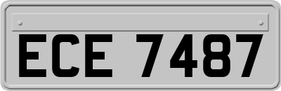 ECE7487