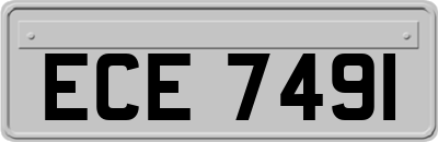 ECE7491