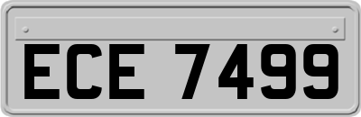 ECE7499