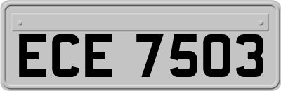 ECE7503