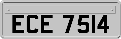 ECE7514