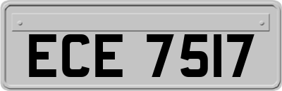 ECE7517