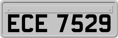 ECE7529