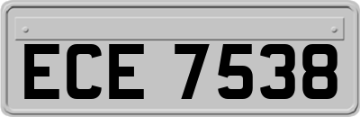 ECE7538