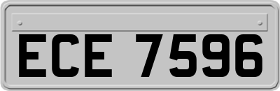 ECE7596