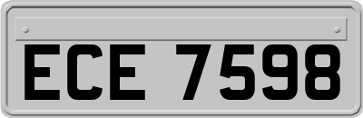 ECE7598