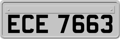 ECE7663