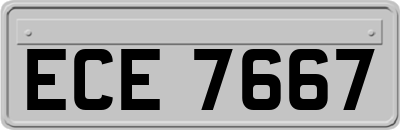 ECE7667