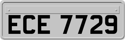 ECE7729