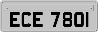 ECE7801