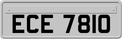 ECE7810