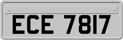ECE7817