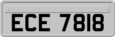 ECE7818