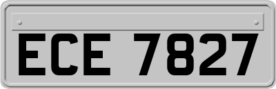 ECE7827