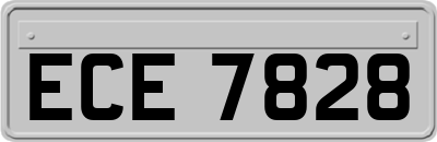 ECE7828