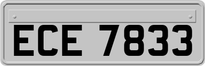 ECE7833