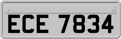 ECE7834