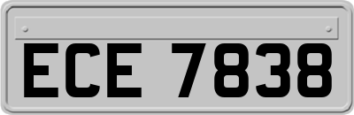 ECE7838