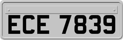 ECE7839