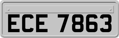 ECE7863