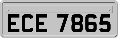 ECE7865