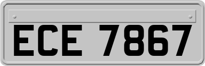 ECE7867