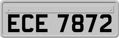 ECE7872