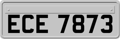 ECE7873