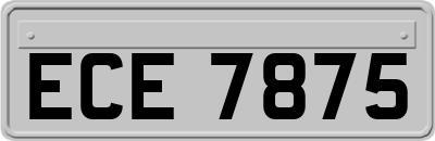 ECE7875