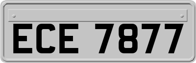 ECE7877