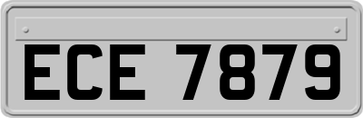 ECE7879