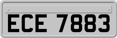 ECE7883